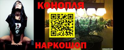 спиды Краснознаменск