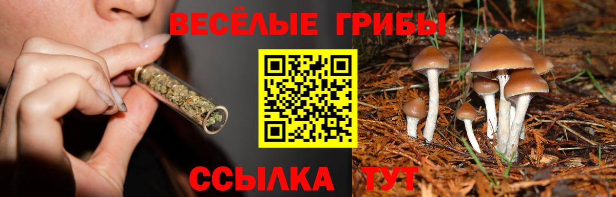 купить  цена  Псилоцибиновые грибы мицелий  Вход с VPN  Урай 